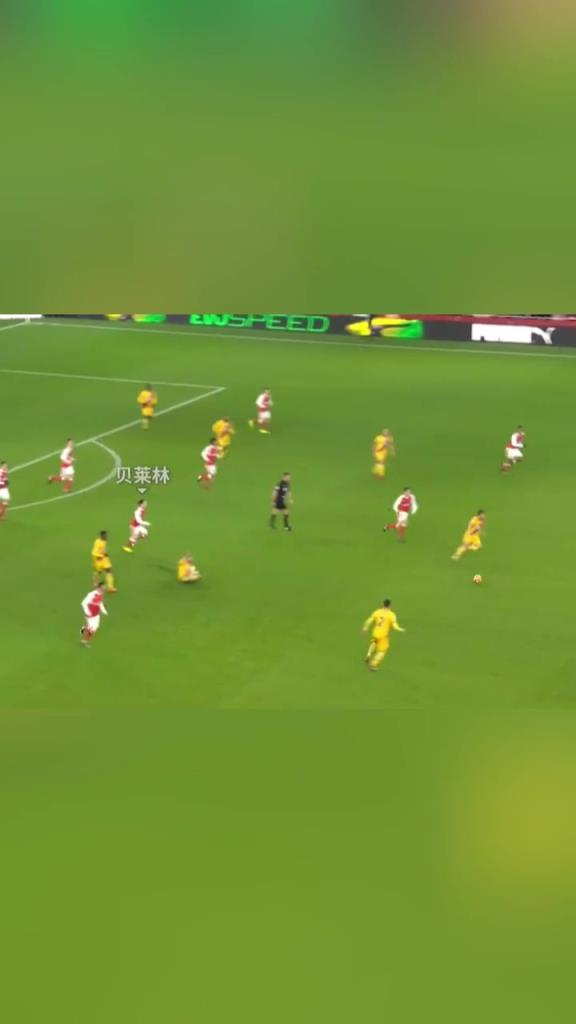 这个世界上所有华丽的辞藻,也概括不了这粒进球的美妙!