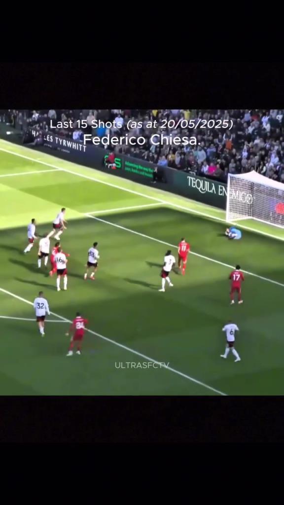 射术还是强啊!小基耶萨近15脚射门合集!