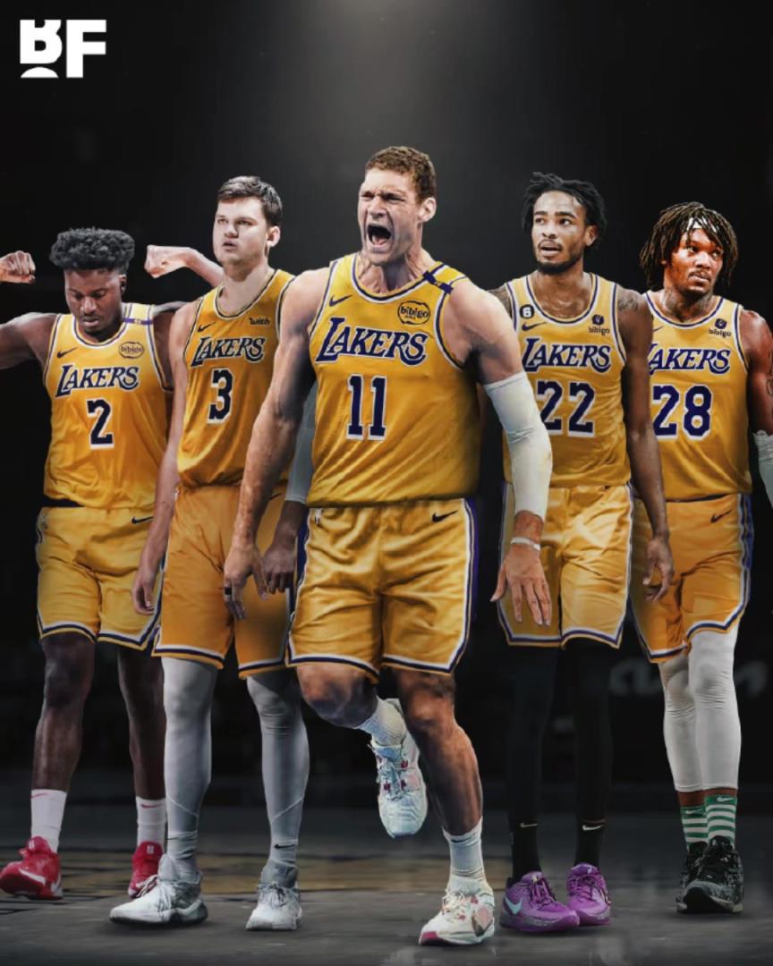 湖人今夏有望得到的内线,哪一个是最理想的?