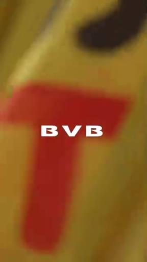 酷炫混剪!欢迎来到多特蒙德!你是从什么时候开始入坑的呢?