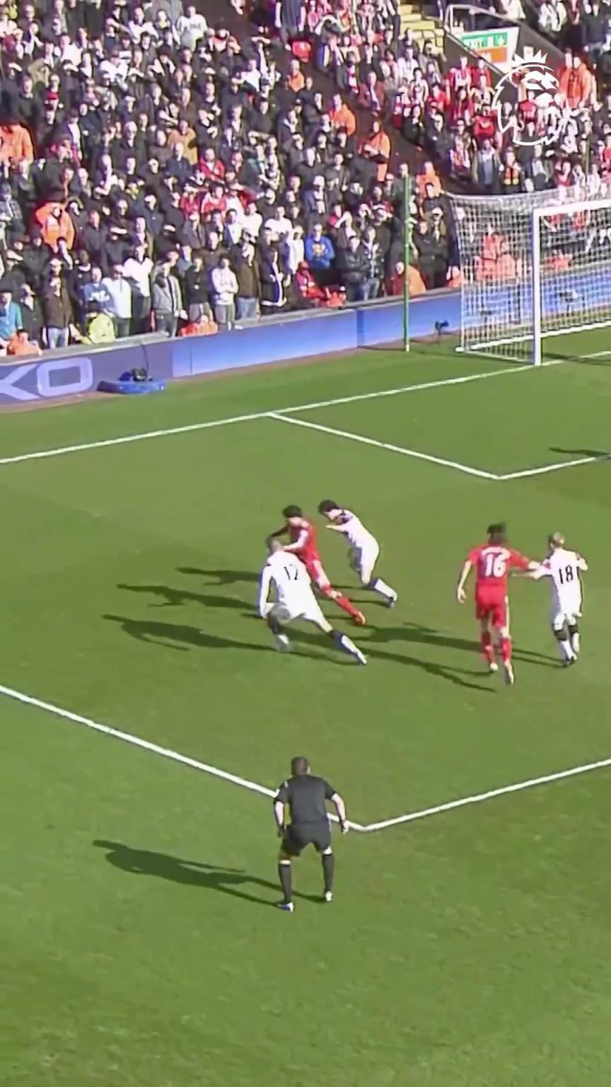 难道这就是传说中的游龙吗?