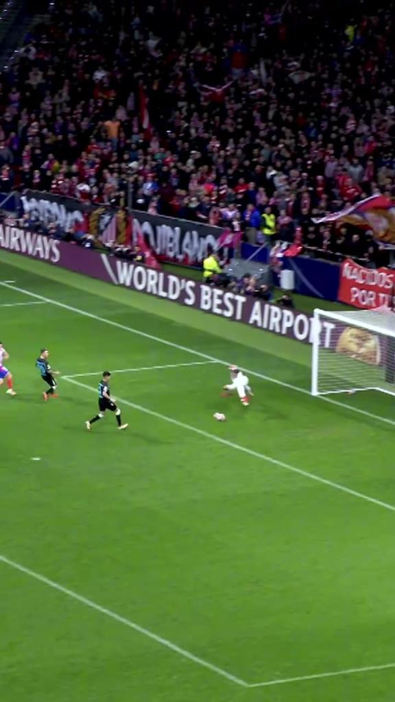 太喜欢这个球员了!阿尔瓦雷斯赛季精彩混剪!火力全开!