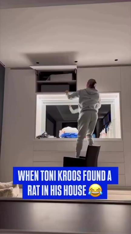 克罗斯遭遇最大挑战——豪宅里出现老鼠!四目相对那一刻都懵了