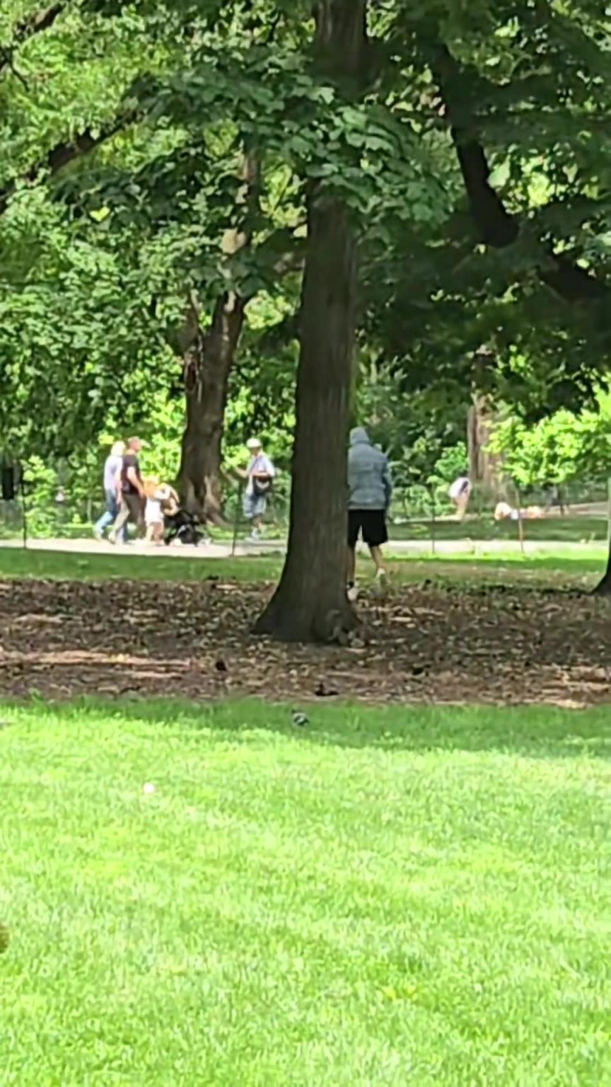 克莱闲来无事在纽约街头散步 没有目的兜帽一带谁也不爱