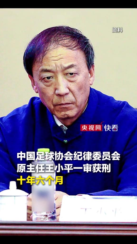 央视:中国足协原纪律委员会主任王小平一审获刑十年六个月