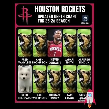 白魔走了!美媒调侃火箭下赛季十人阵容:杜兰特+谢泼德+8只凶狠的猎犬