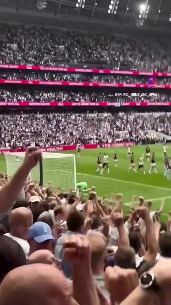 神了!锁定本轮最佳进球?球迷实拍理查利松和约翰逊的进球!