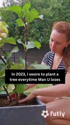 外网视频恶搞：曼联球迷从23年开始，只要曼联输球就种一棵树……